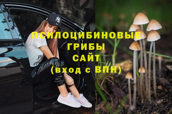 хмурый Белоозёрский
