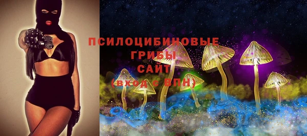 мет Анива