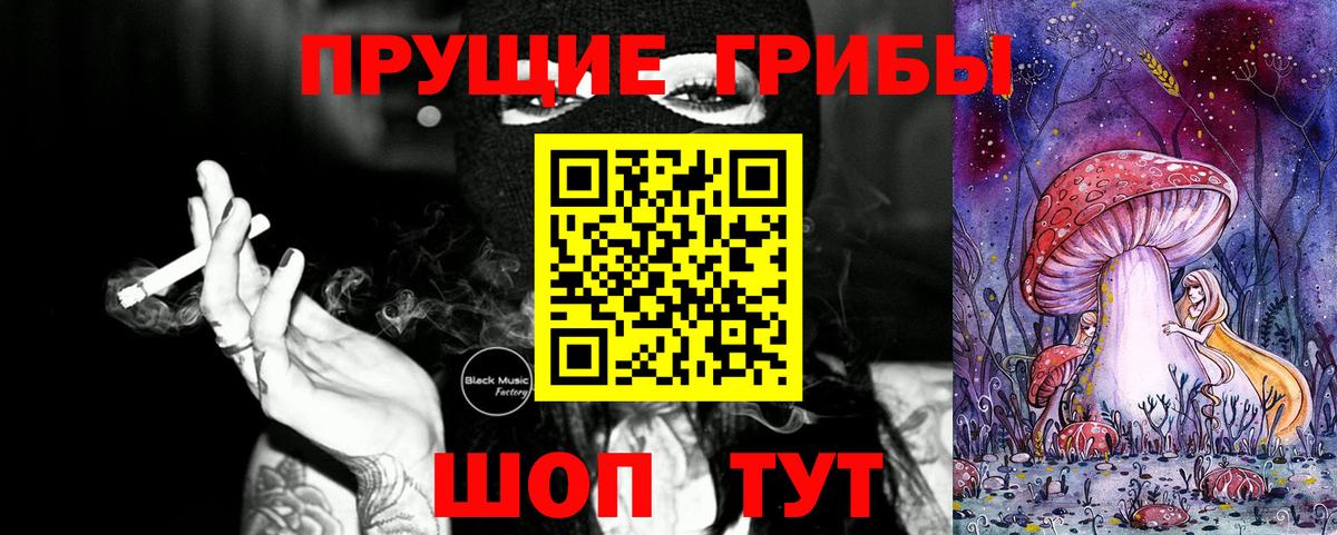 Галлюциногенные грибы Psilocybe  Вход с VPN  Десногорск 