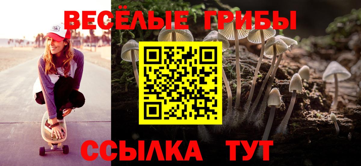 МЕФ Десногорск