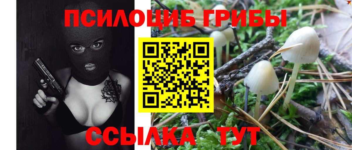 Псилоцибиновые грибы прущие грибы  Десногорск 